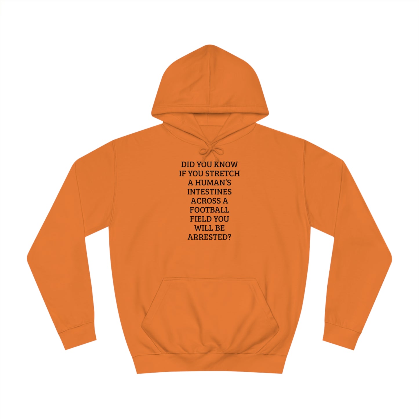 Football Field Intestines Unisex Hoodie