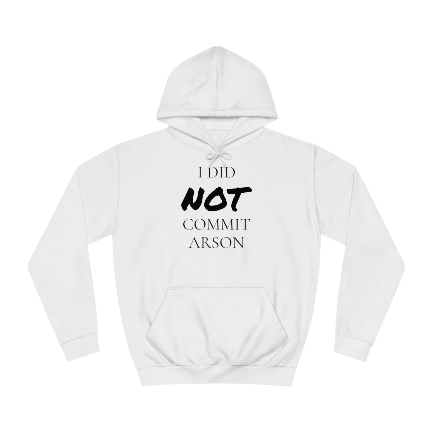 I Did NOT Commit Arson Unisex Hoodie