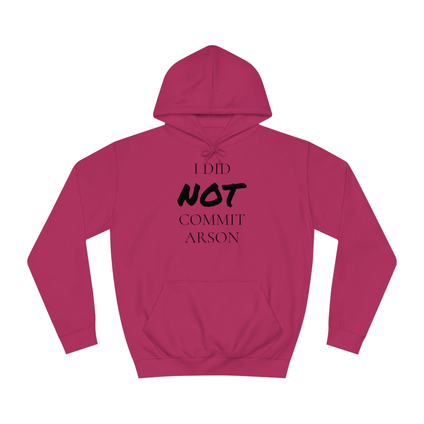 I Did NOT Commit Arson Unisex Hoodie