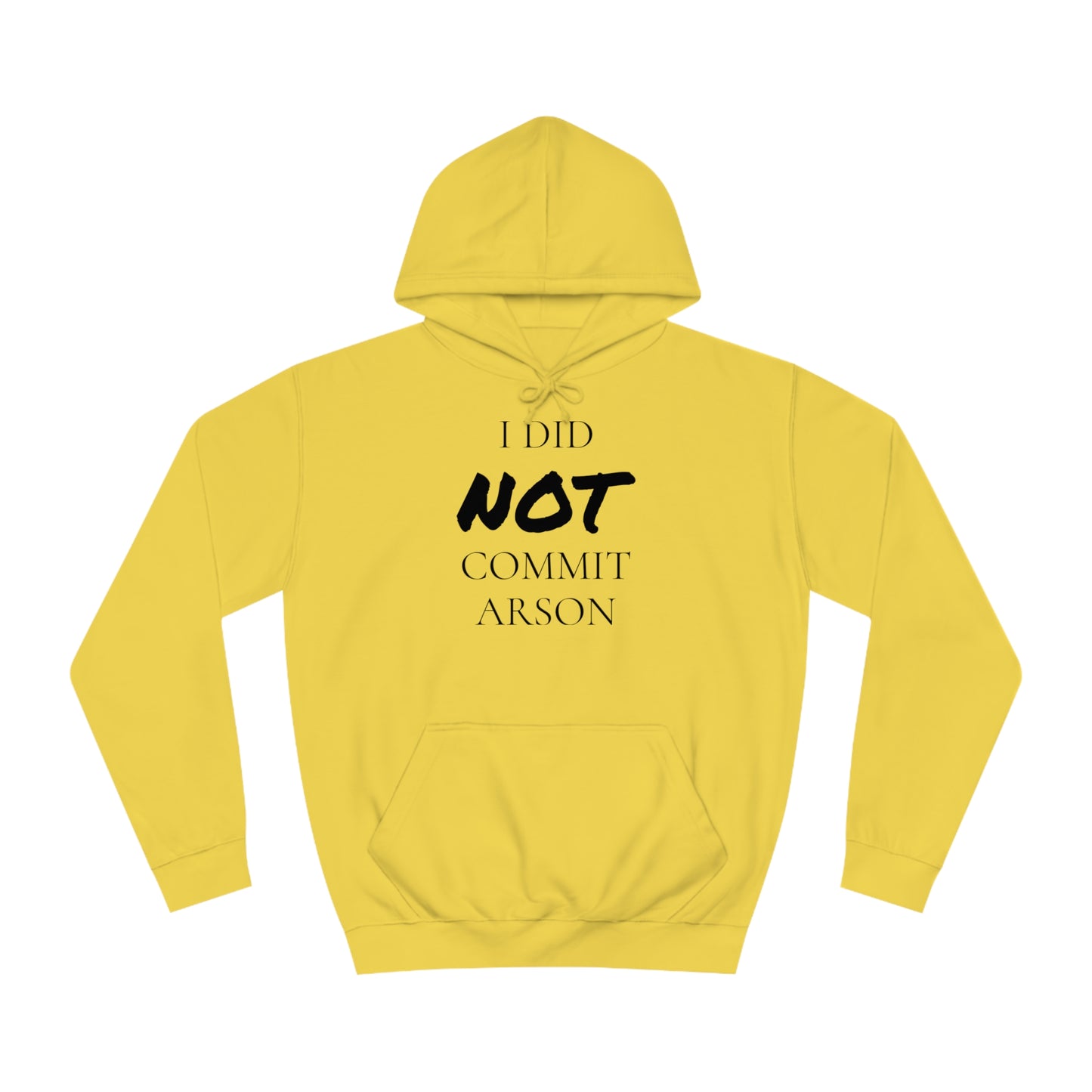 I Did NOT Commit Arson Unisex Hoodie