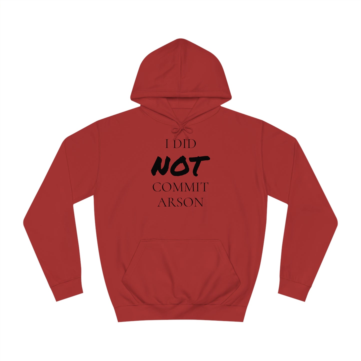 I Did NOT Commit Arson Unisex Hoodie