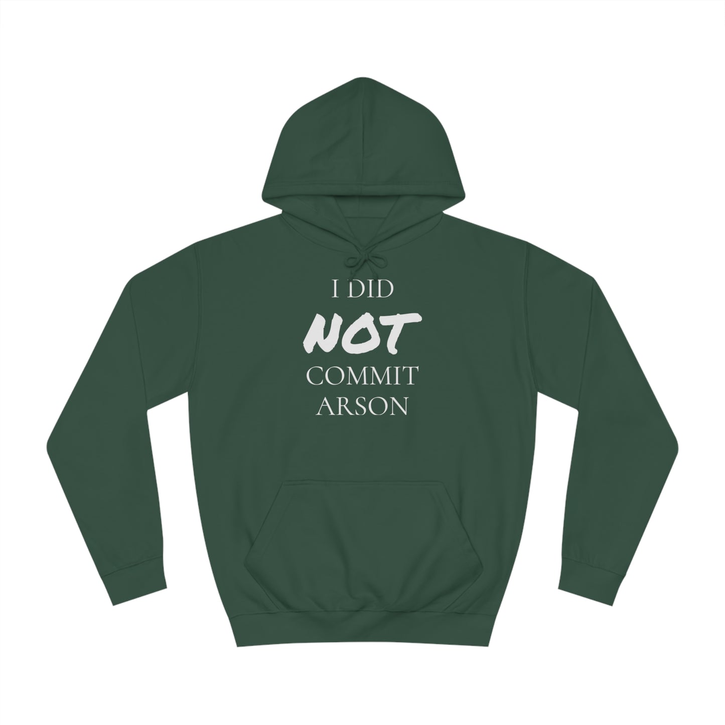 I Did NOT Commit Arson Unisex Hoodie