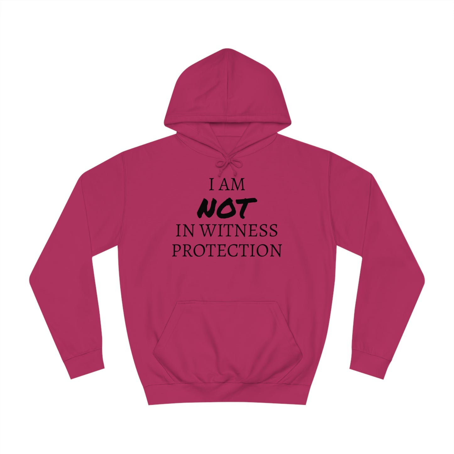 I Am NOT In Witness Protection Unisex Hoodie