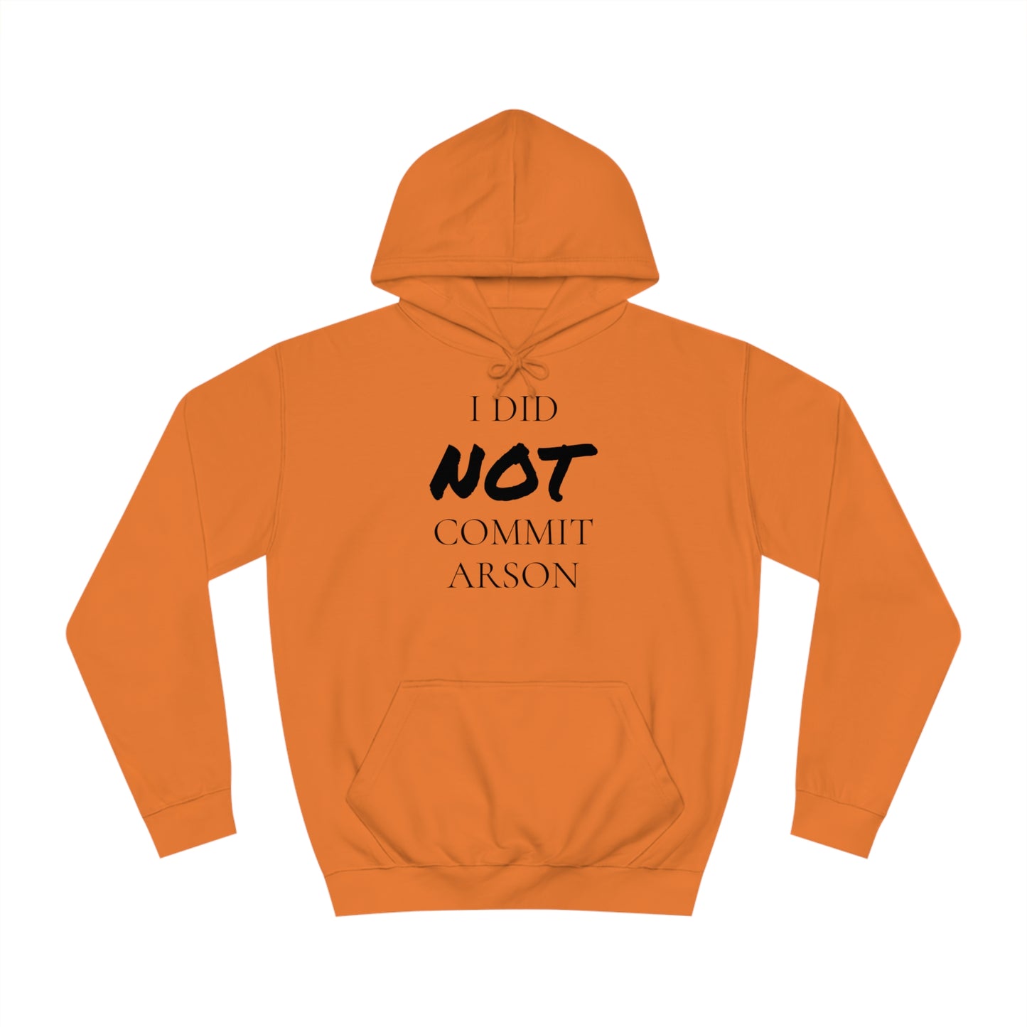 I Did NOT Commit Arson Unisex Hoodie