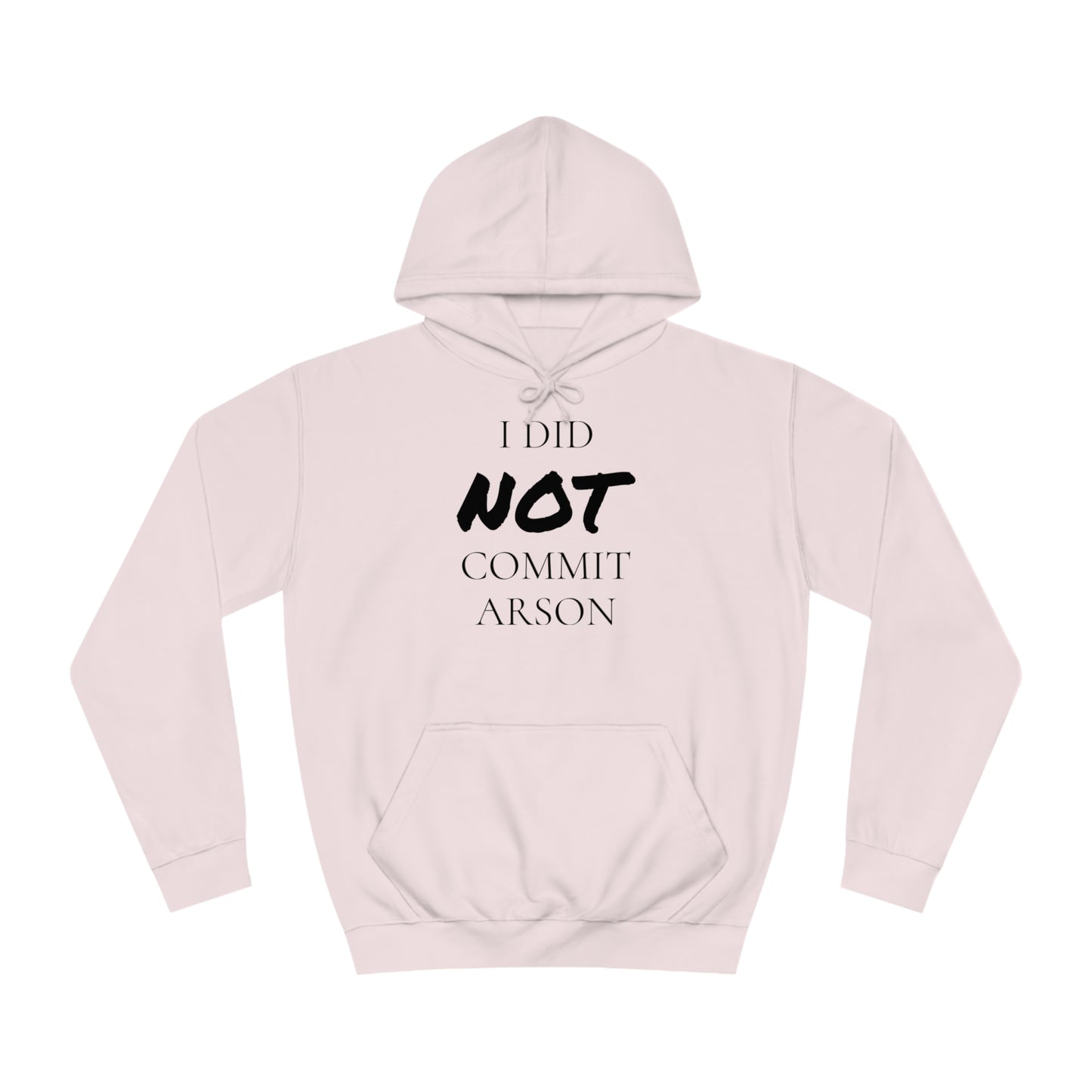 I Did NOT Commit Arson Unisex Hoodie