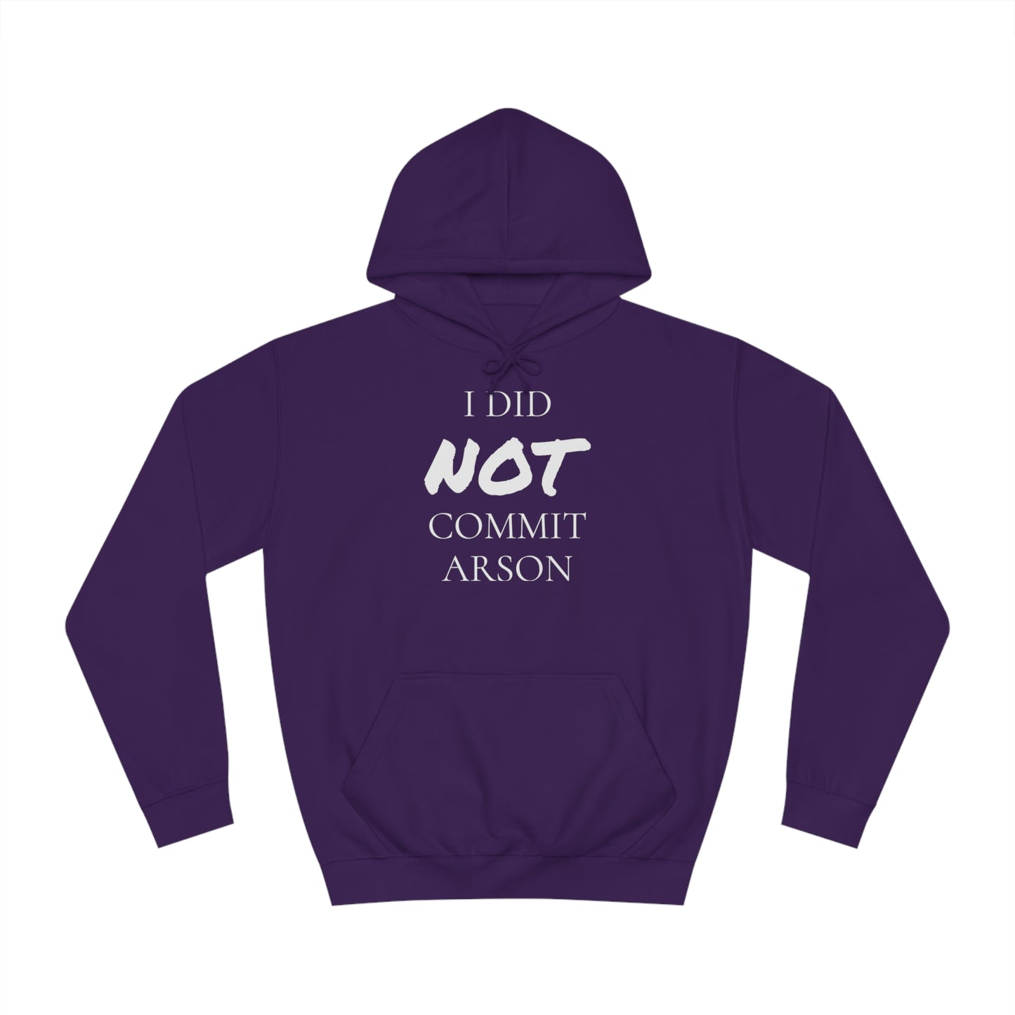 I Did NOT Commit Arson Unisex Hoodie