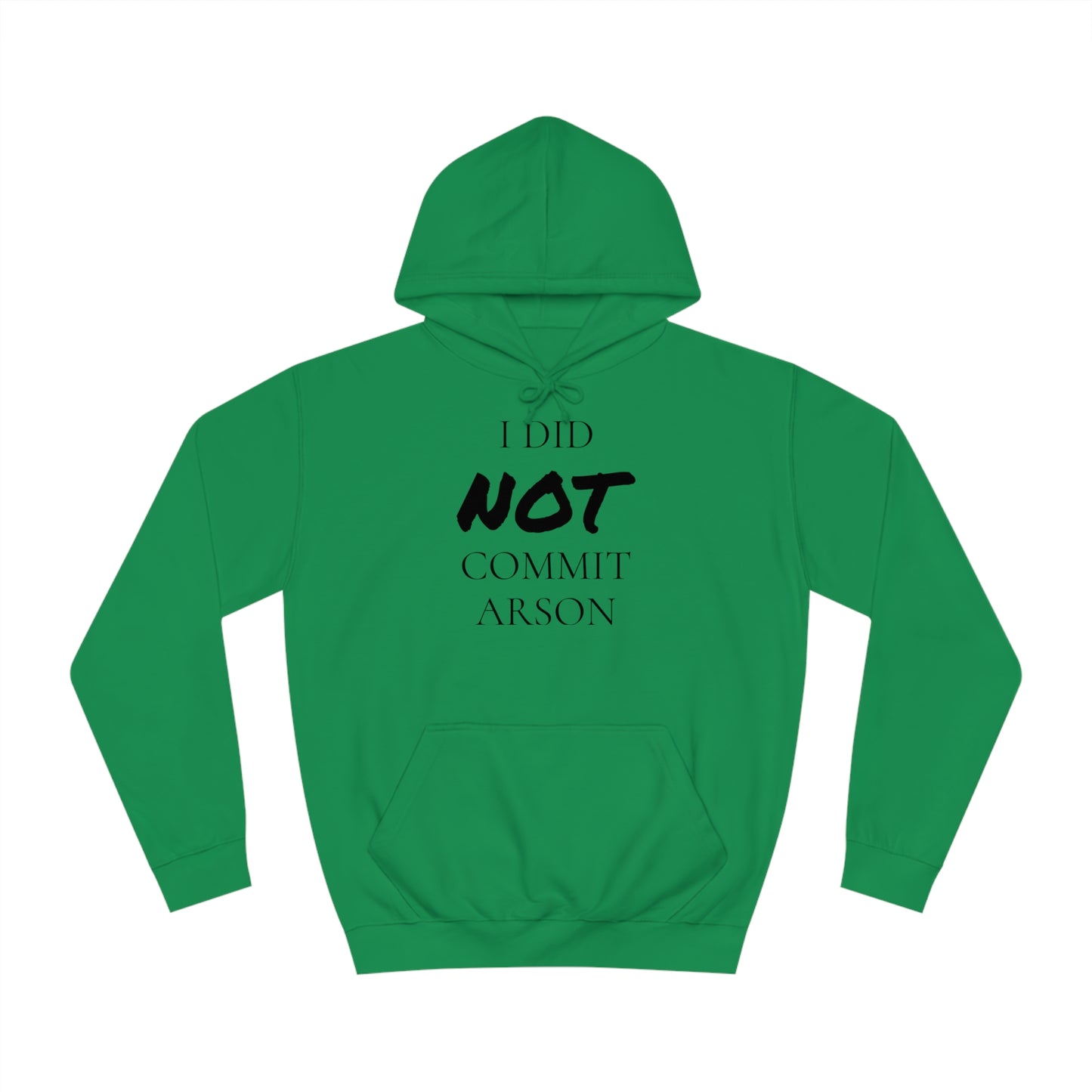 I Did NOT Commit Arson Unisex Hoodie