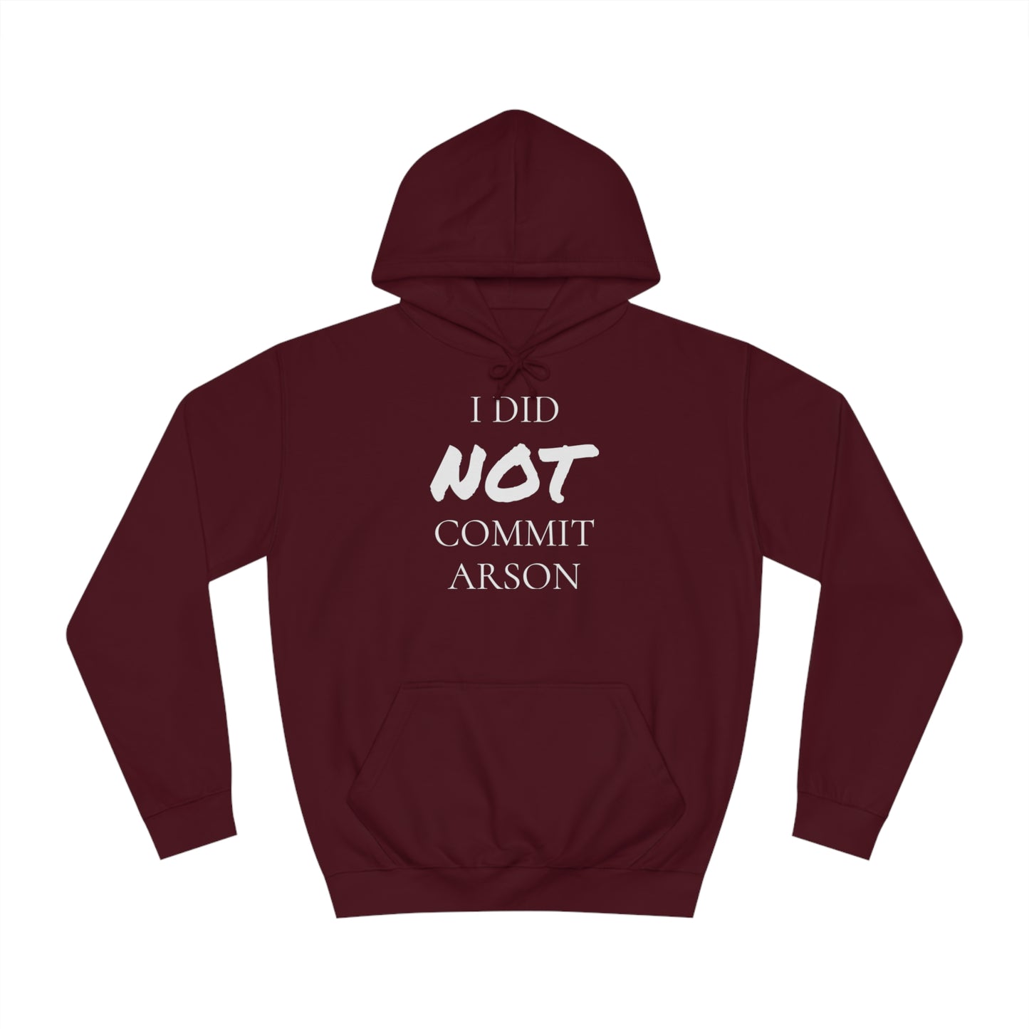 I Did NOT Commit Arson Unisex Hoodie